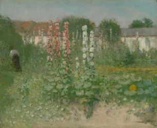 Garten mit Stockrosen